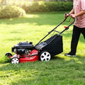 21-Inch Push-Type Gas Lawn Mower — view 2