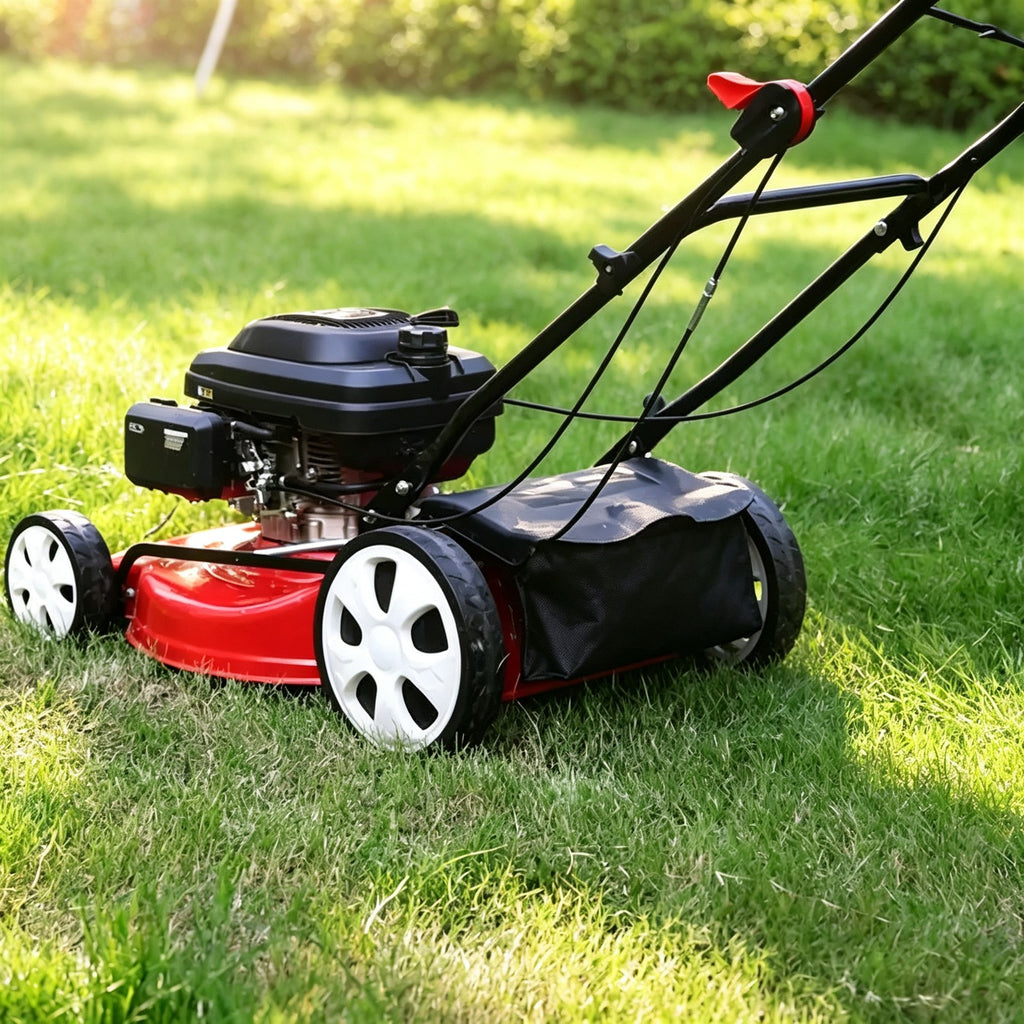 21-Inch Push-Type Gas Lawn Mower — view 3